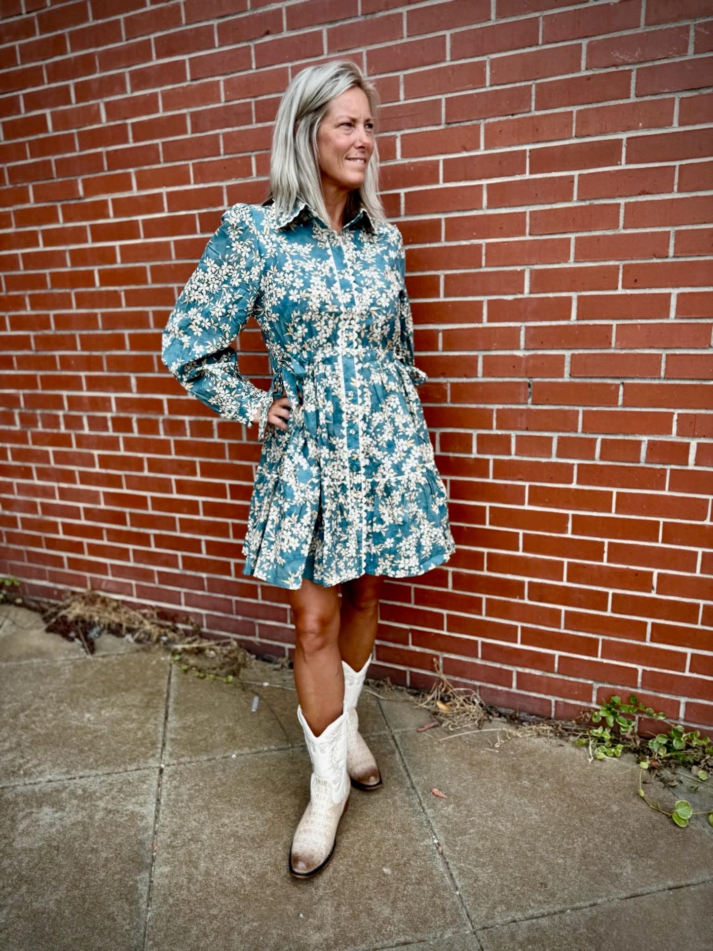 Dusty Meadow Dress